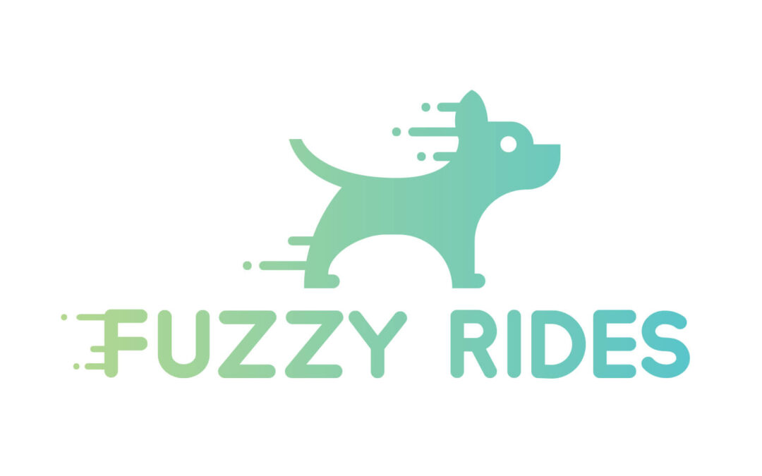 Fuzzy Rides