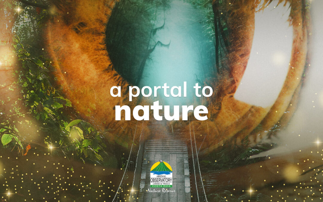 A Portal to Nature