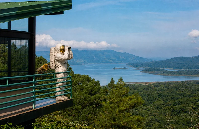 Arenal Observatory Lodge website and digital marketing case study